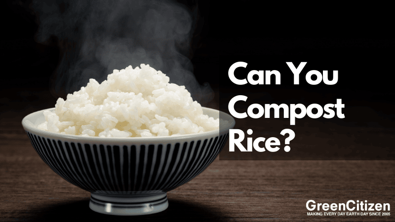 Can You Compost Rice