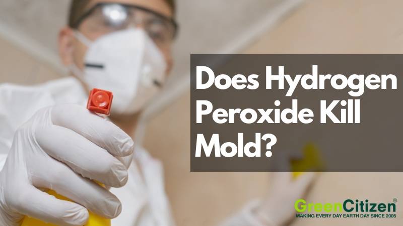 Does hydrogen peroxide kill mold