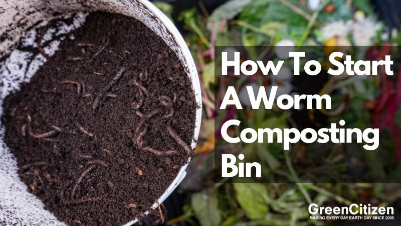 How to Start a Worm Composting Bin