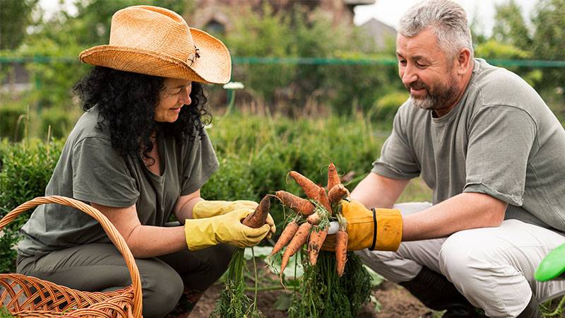 Sustainable Food System Overhaul Could Yield $10tn Annual Benefits