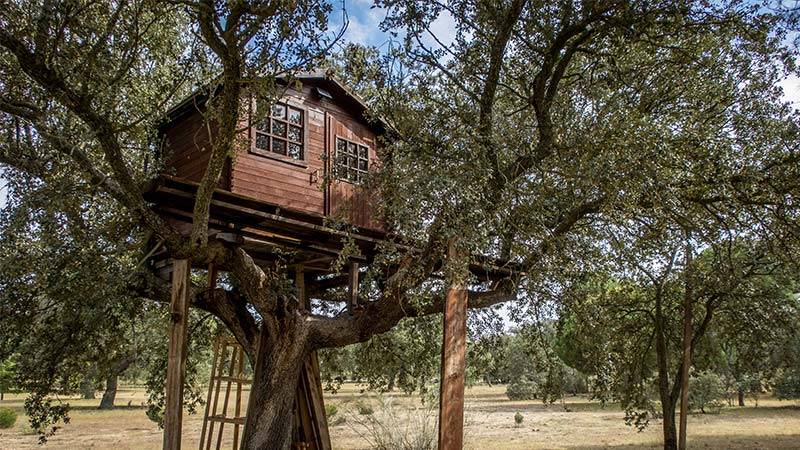 Treehouse Classroom Tackles Deforestation in the Amazon