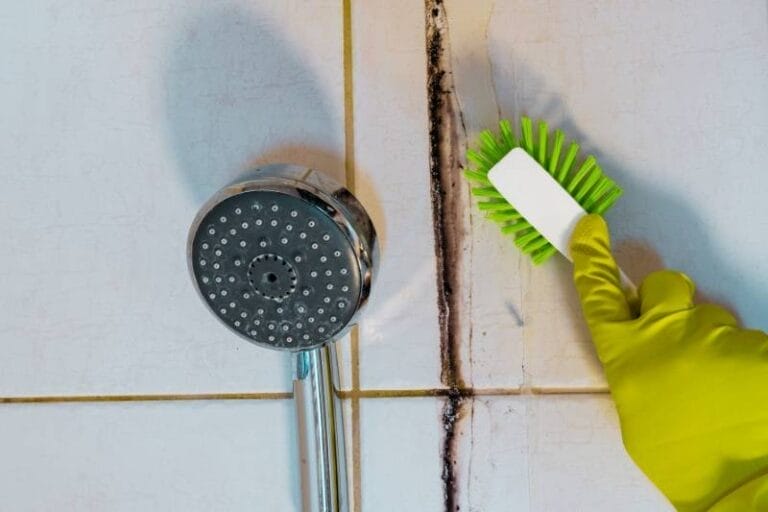 Can Hydrogen Peroxide Kill Mold? Here’s What You Need to Know GreenCitizen