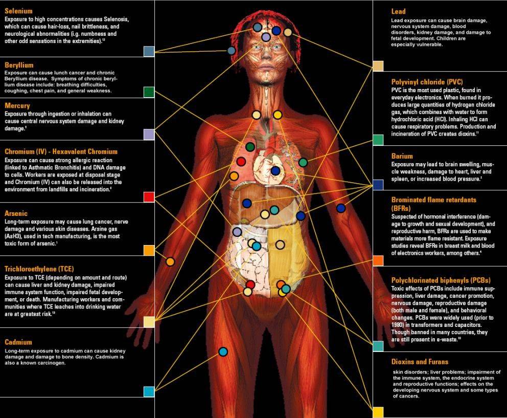 Harmful Effects Chart